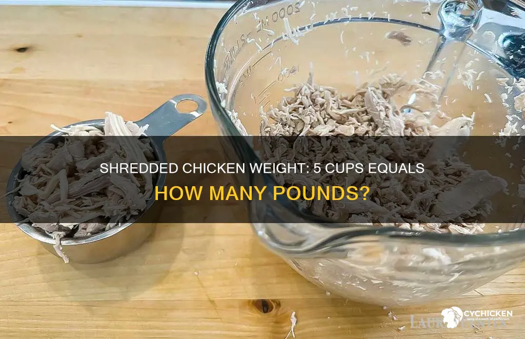 how many pounds is 5 cups of shredded chicken