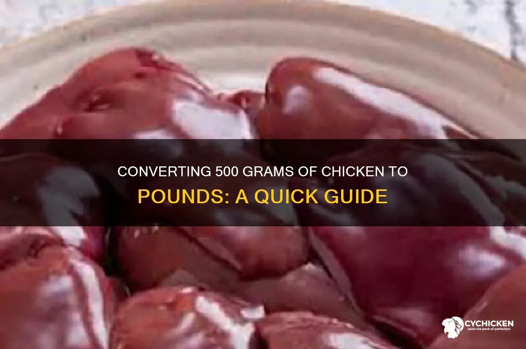 how many pounds is 500 g of chicken