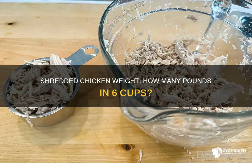 how many pounds is 6 cups of shredded chicken
