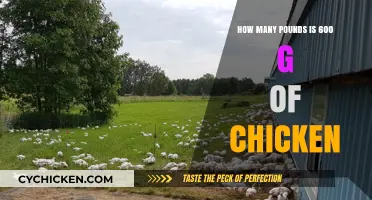 Converting 600 Grams of Chicken to Pounds: A Quick Guide