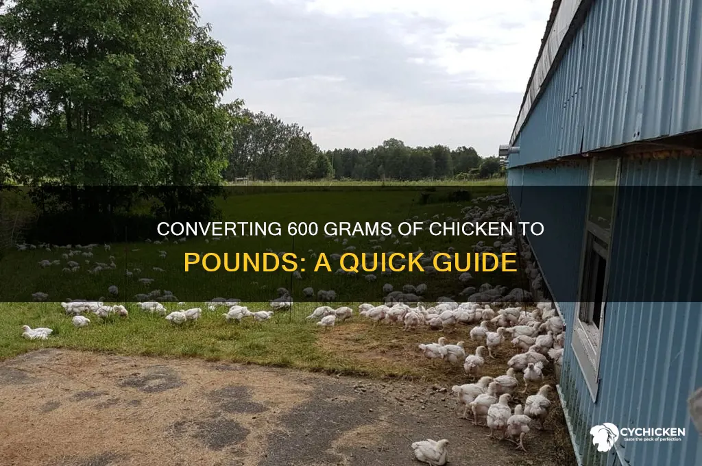 how many pounds is 600 g of chicken