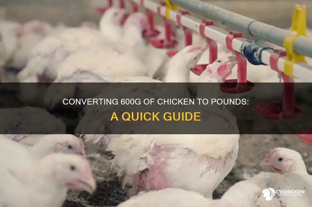how many pounds is 600g of chicken