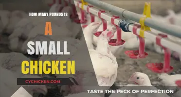 Small Chicken Weight: How Many Pounds to Expect?