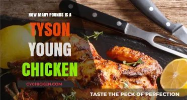 Tyson Young Chicken Weight: How Many Pounds to Expect?