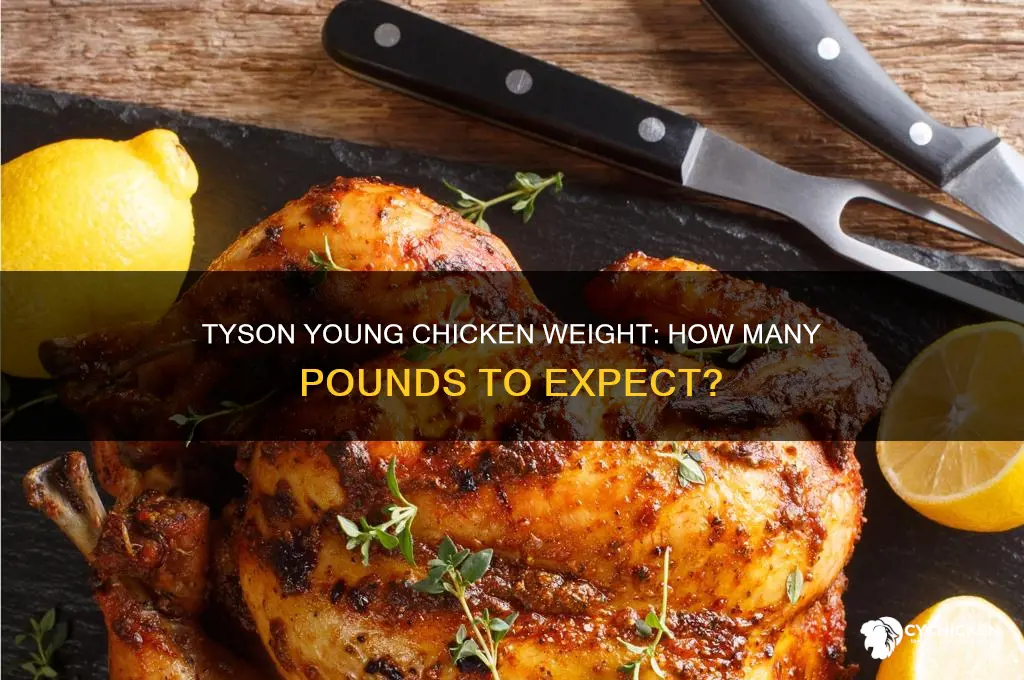 how many pounds is a tyson young chicken