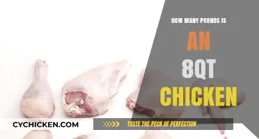 How Much Does an 8-Quart Chicken Weigh in Pounds?