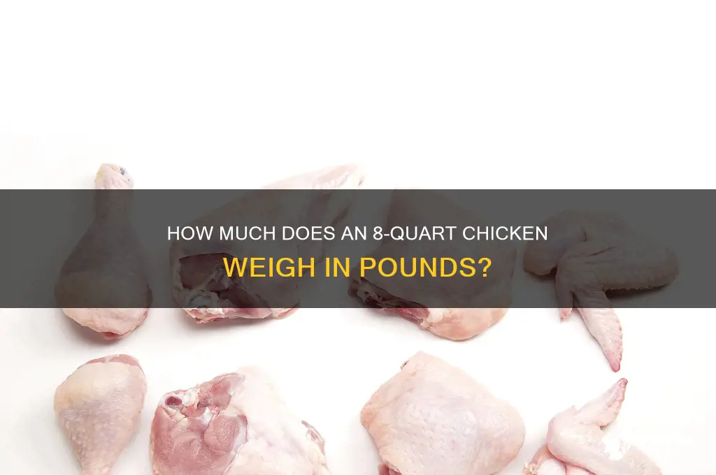 how many pounds is an 8qt chicken