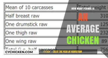 Average Chicken Weight: How Many Pounds is Typical?