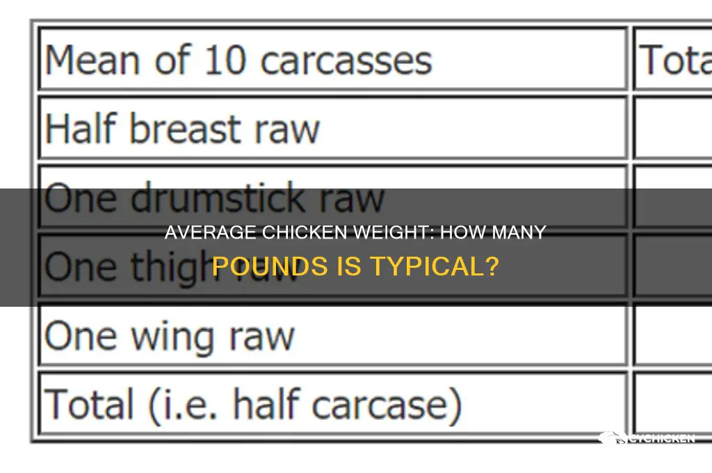 how many pounds is an average chicken