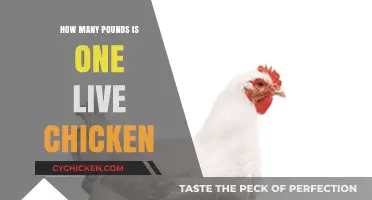 Understanding the Average Weight of a Live Chicken in Pounds