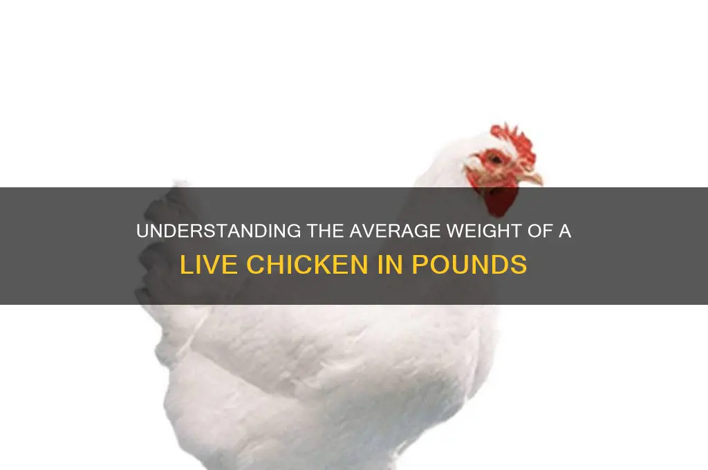 how many pounds is one live chicken