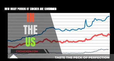 Chicken Consumption in the US: Pounds Eaten
