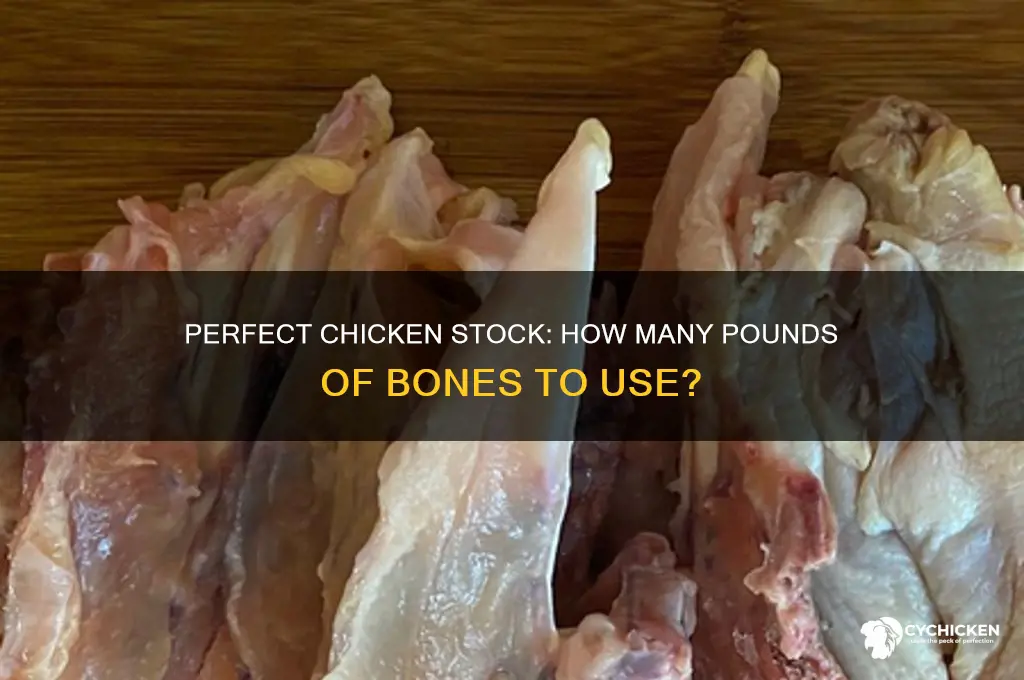 how many pounds of chicken bones for stock