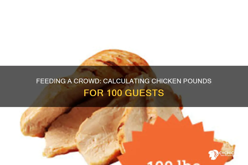 how many pounds of chicken for 100