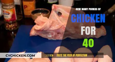 Perfect Portions: How Much Chicken to Serve 40 Guests