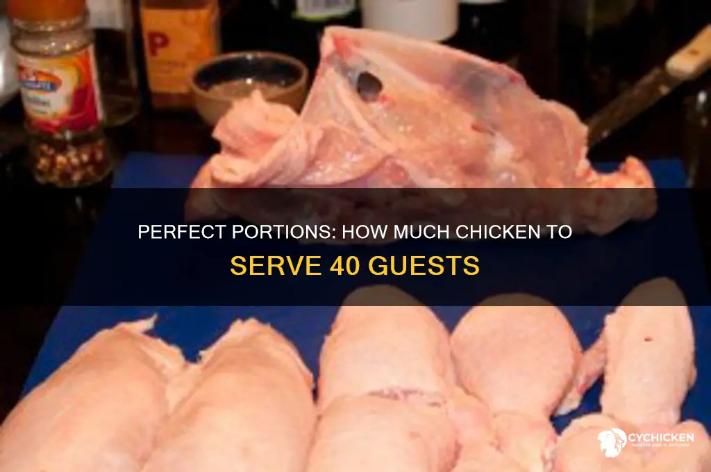 how many pounds of chicken for 40