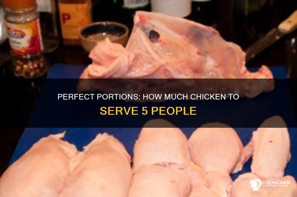 how many pounds of chicken for 5