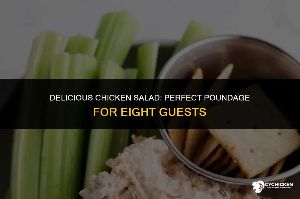 how many pounds of chicken for 8 people chicken salad
