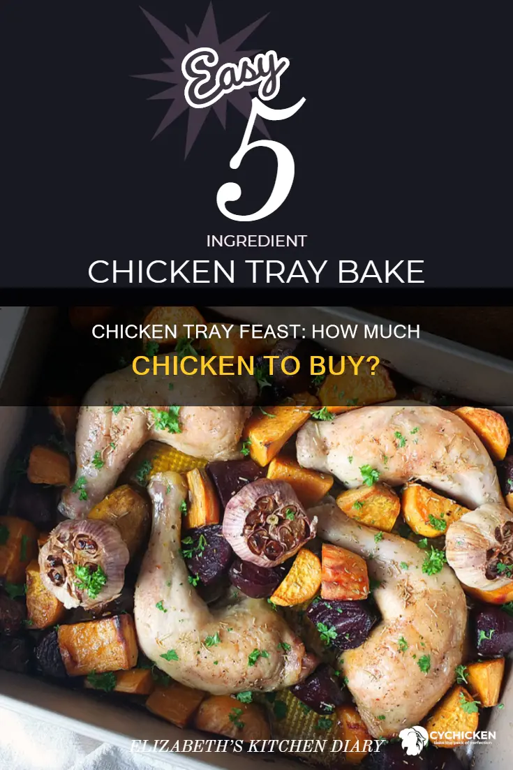 how many pounds of chicken for a full tray