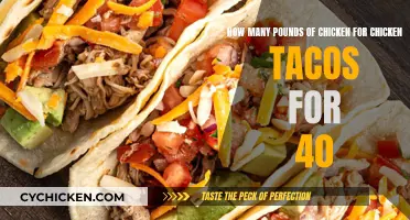 Chicken Tacos for a Crowd: How Much Chicken Do I Need?