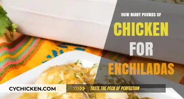 Perfect Chicken Enchiladas: How Much Chicken to Use