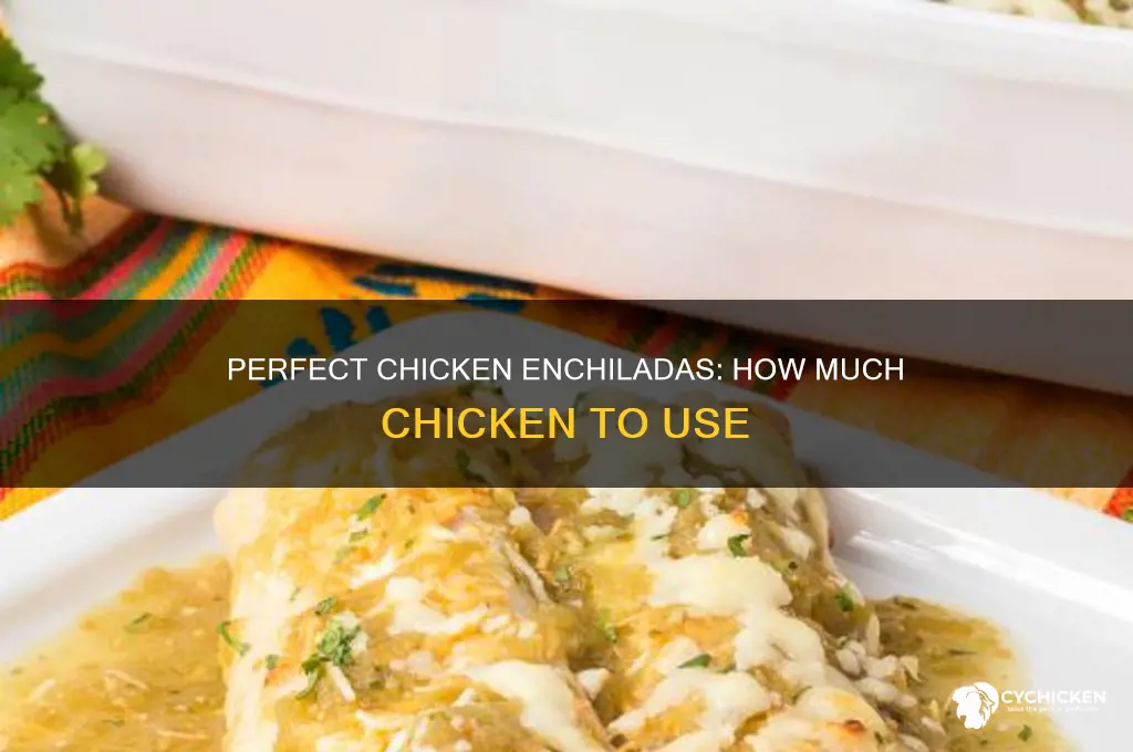 how many pounds of chicken for enchiladas