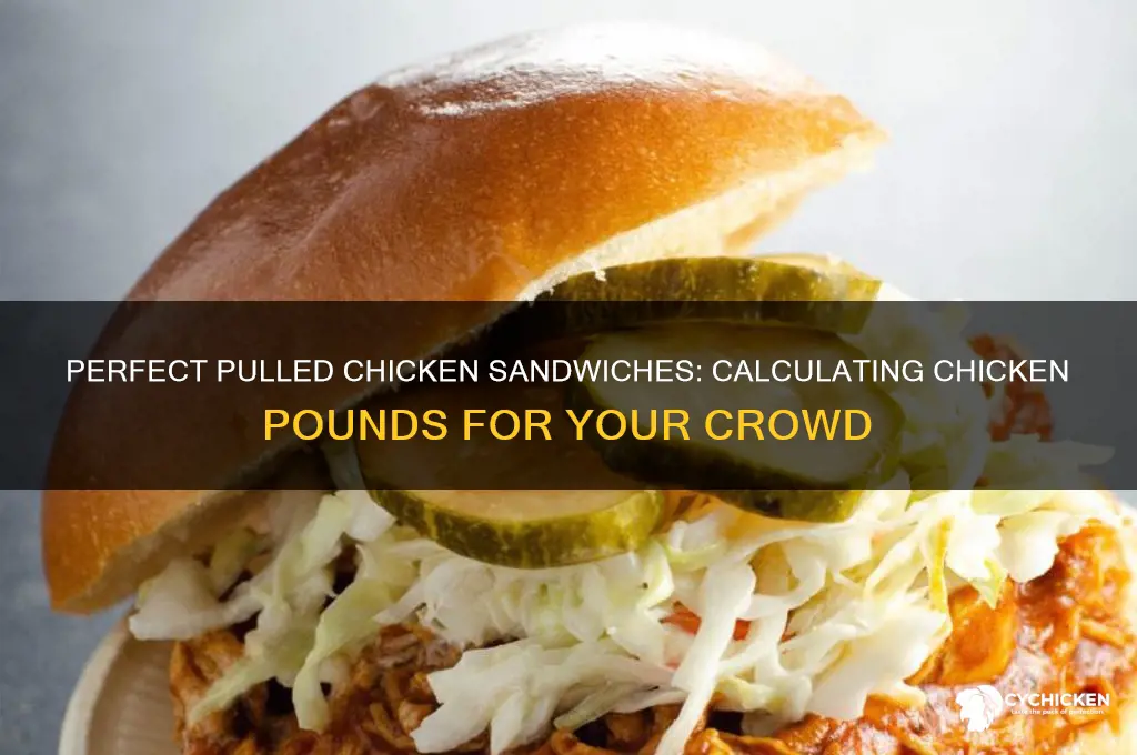 how many pounds of chicken for pulled chicken sandwiches