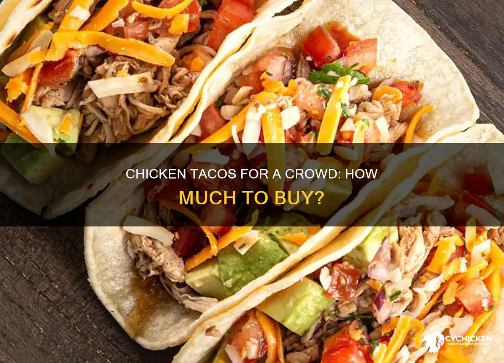 how many pounds of chicken for tacos for 30