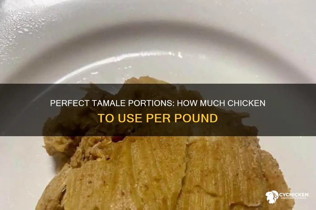 how many pounds of chicken for tamales