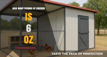 Converting Chicken: Ounces to Pounds