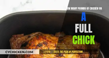 Full Chick Weight: How Much Chicken is There?