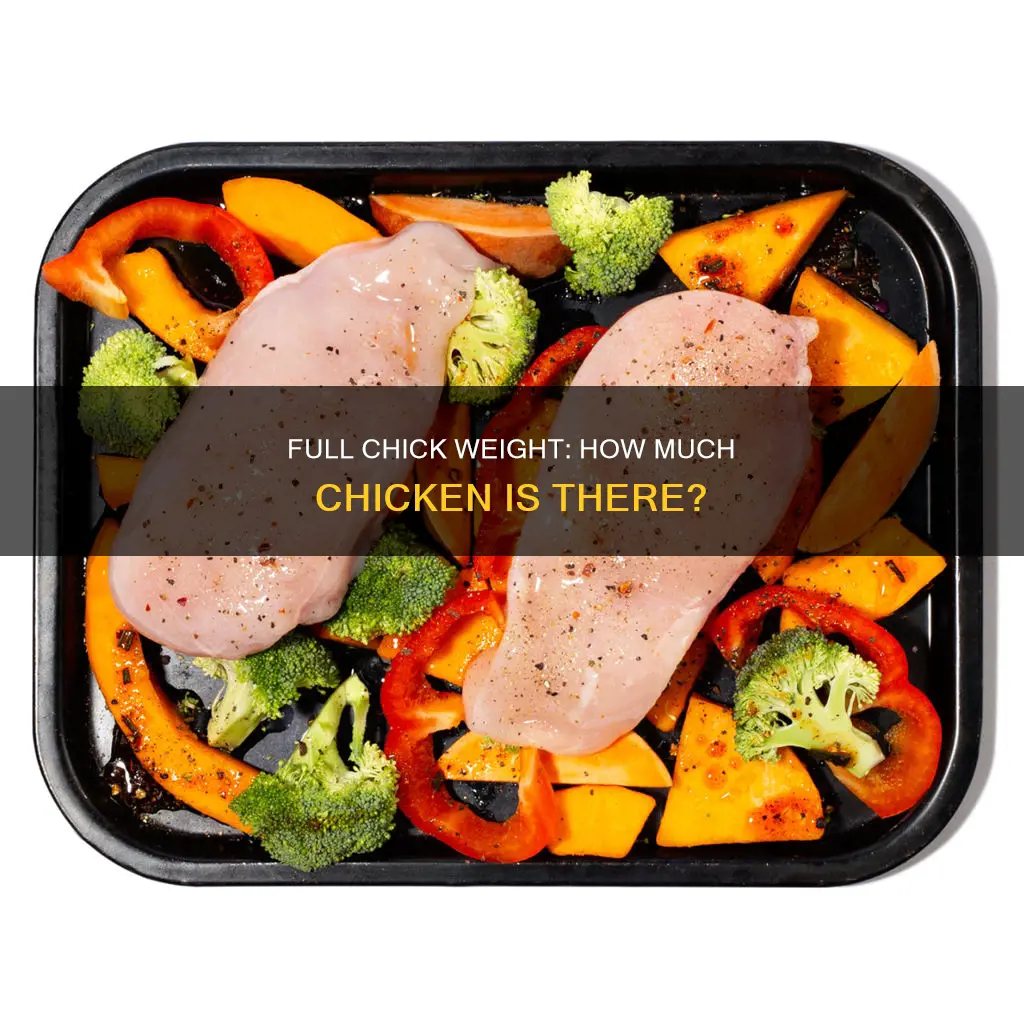 how many pounds of chicken on a full chick