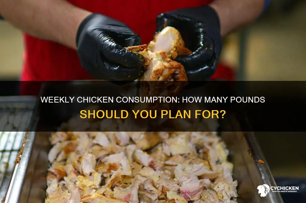 how many pounds of chicken one week