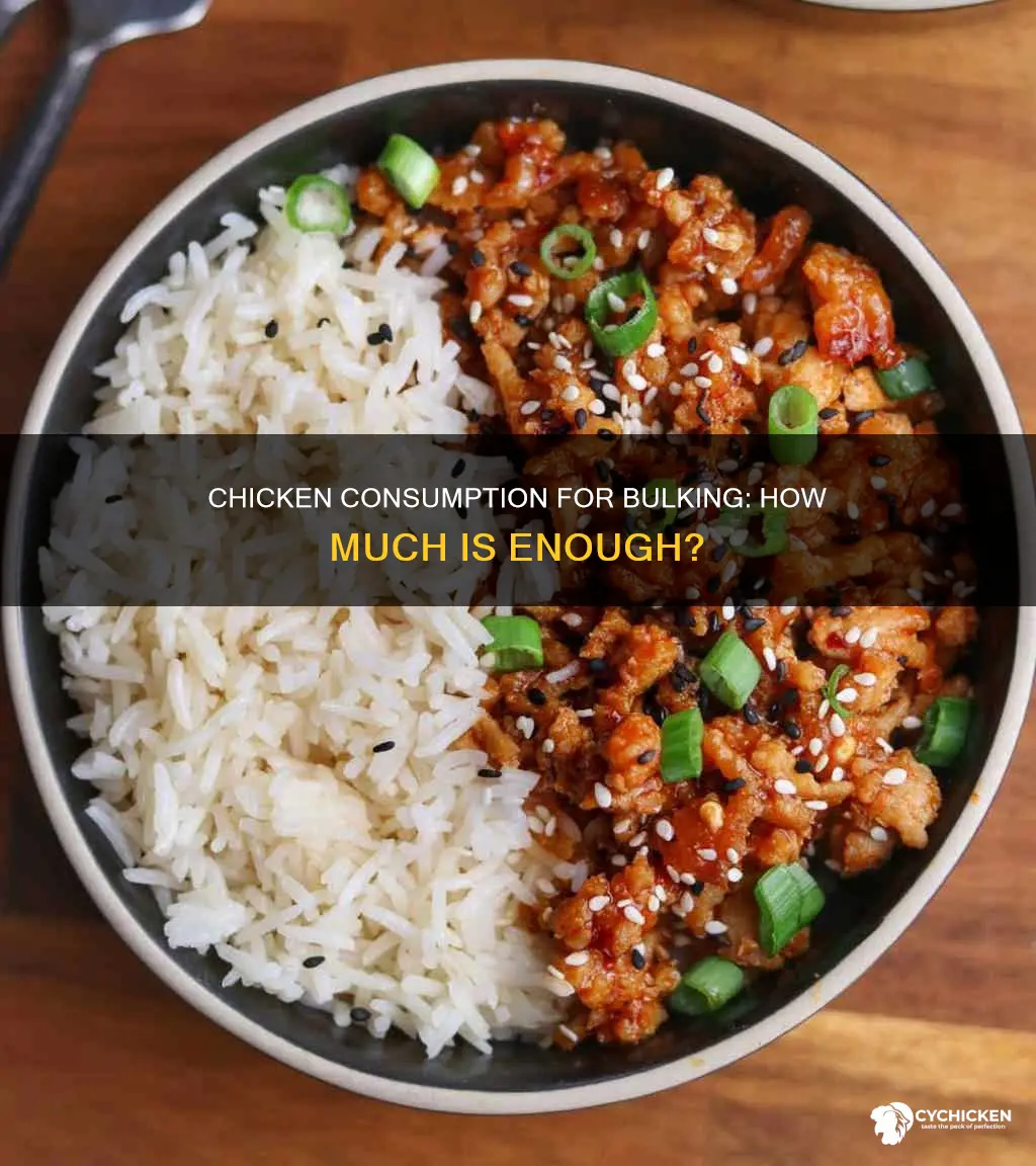 how many pounds of chicken per day to bulk