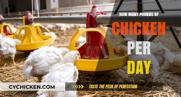 Daily Chicken Intake: How Many Pounds Should You Consume?