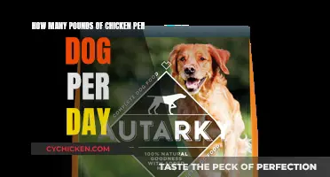 Chicken Feeding Guide for Dogs
