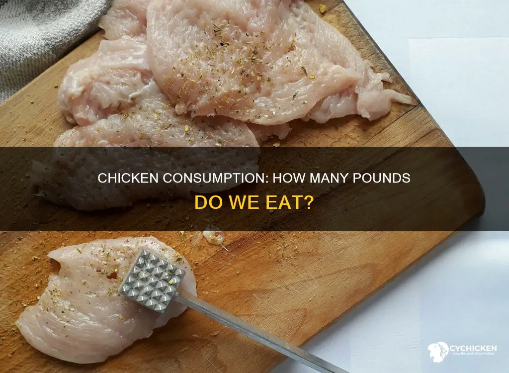 how many pounds of chicken per person a year