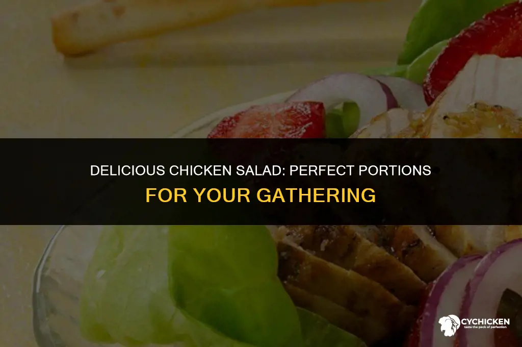 how many pounds of chicken salad per person
