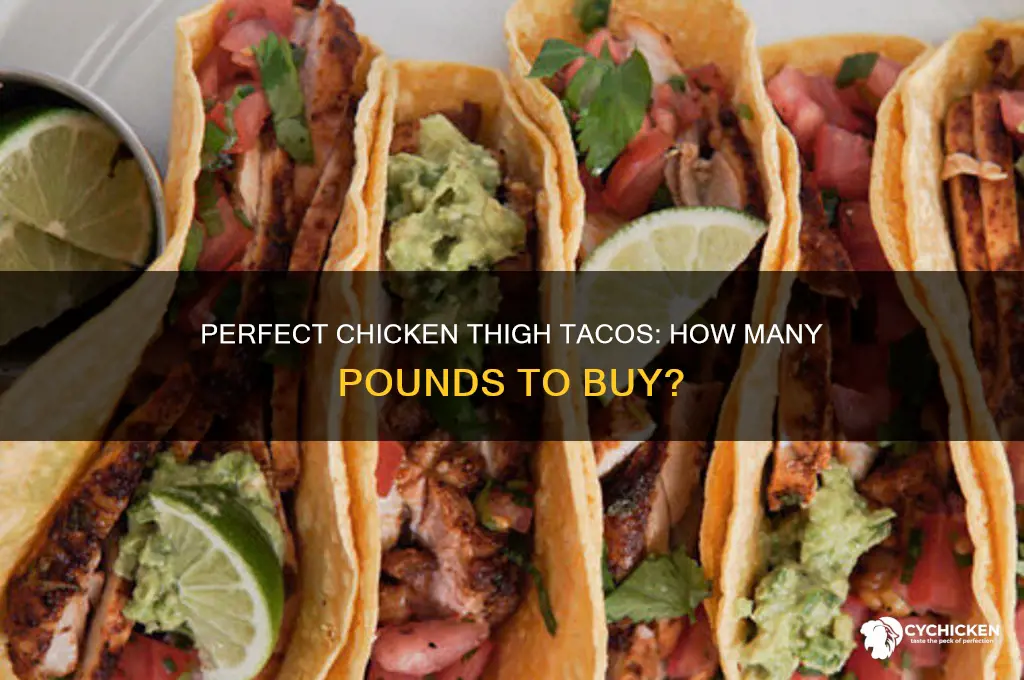 how many pounds of chicken thighs for tacos
