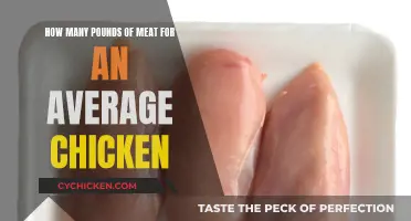 Meat Yield: How Much Chicken Meat to Expect