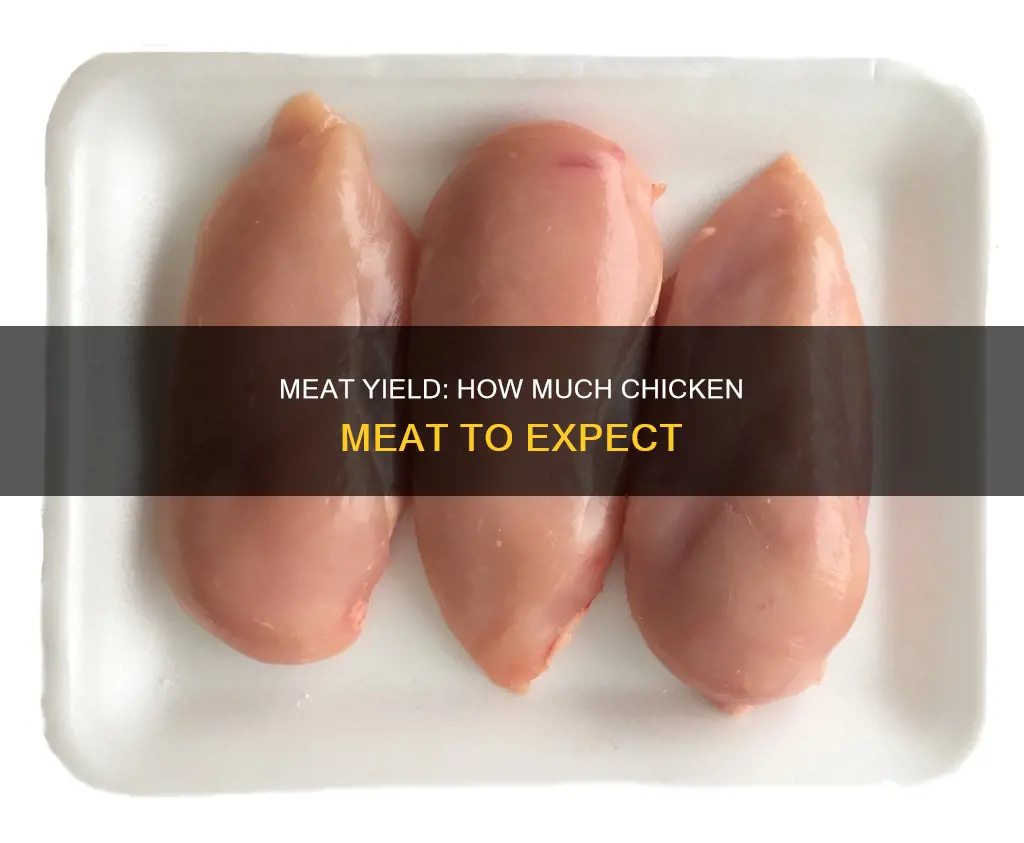 how many pounds of meat for an average chicken