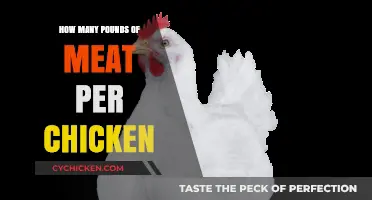Understanding Chicken Meat Yield: Pounds Per Bird Explained