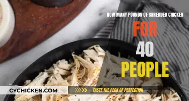 Shredded Chicken Feast: How Much for 40 Guests?