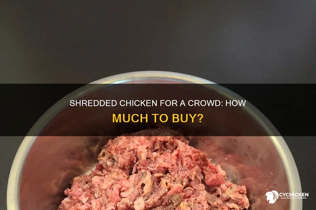 how many pounds of shredded chicken for 50