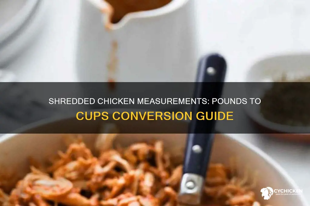 how many pounds per cup shredded chicken