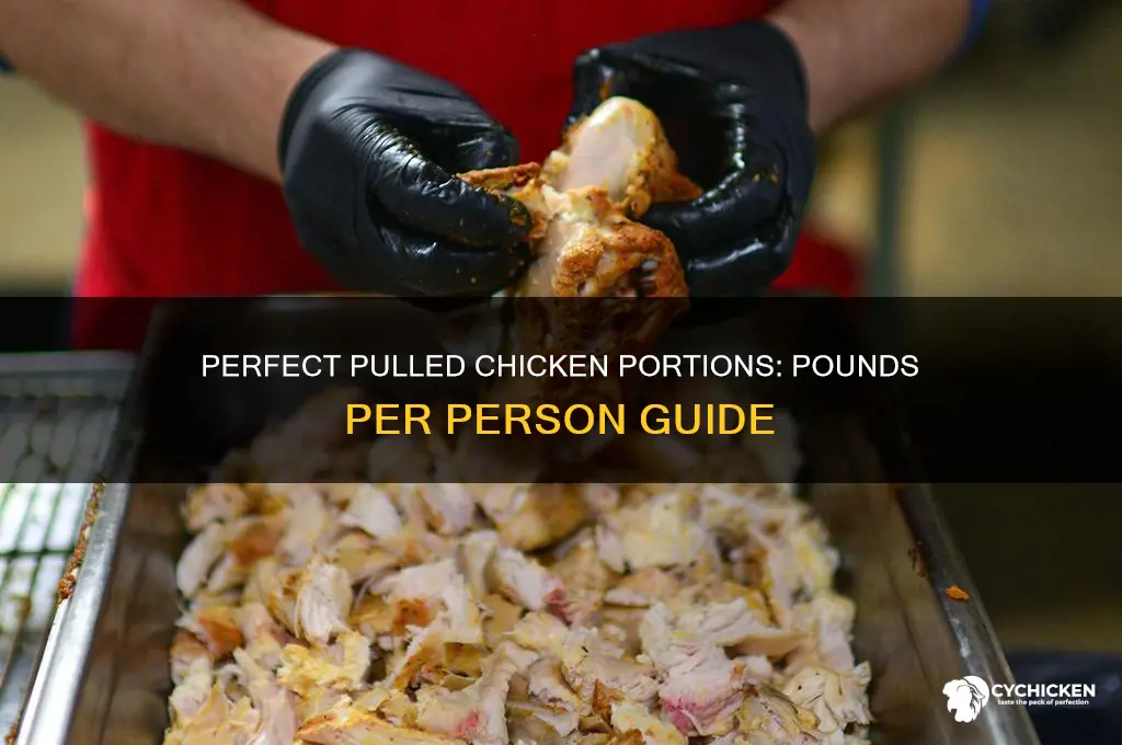 how many pounds pulled chicken per person