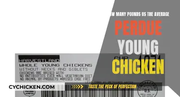 Average Purdue Chicken Weights: What You Need to Know