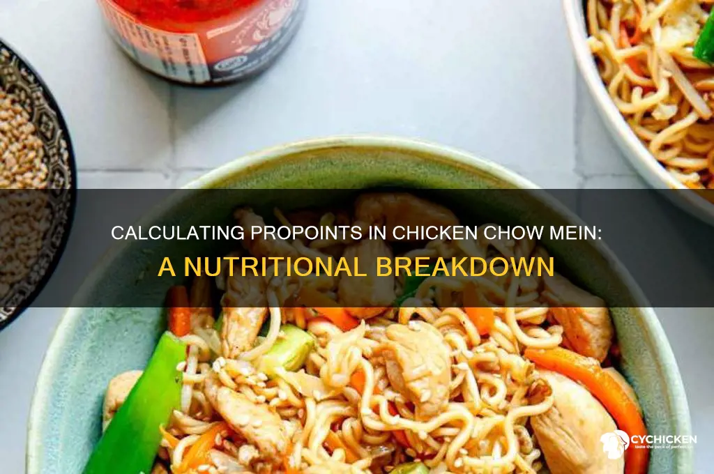 how many propoints in chicken chow mein