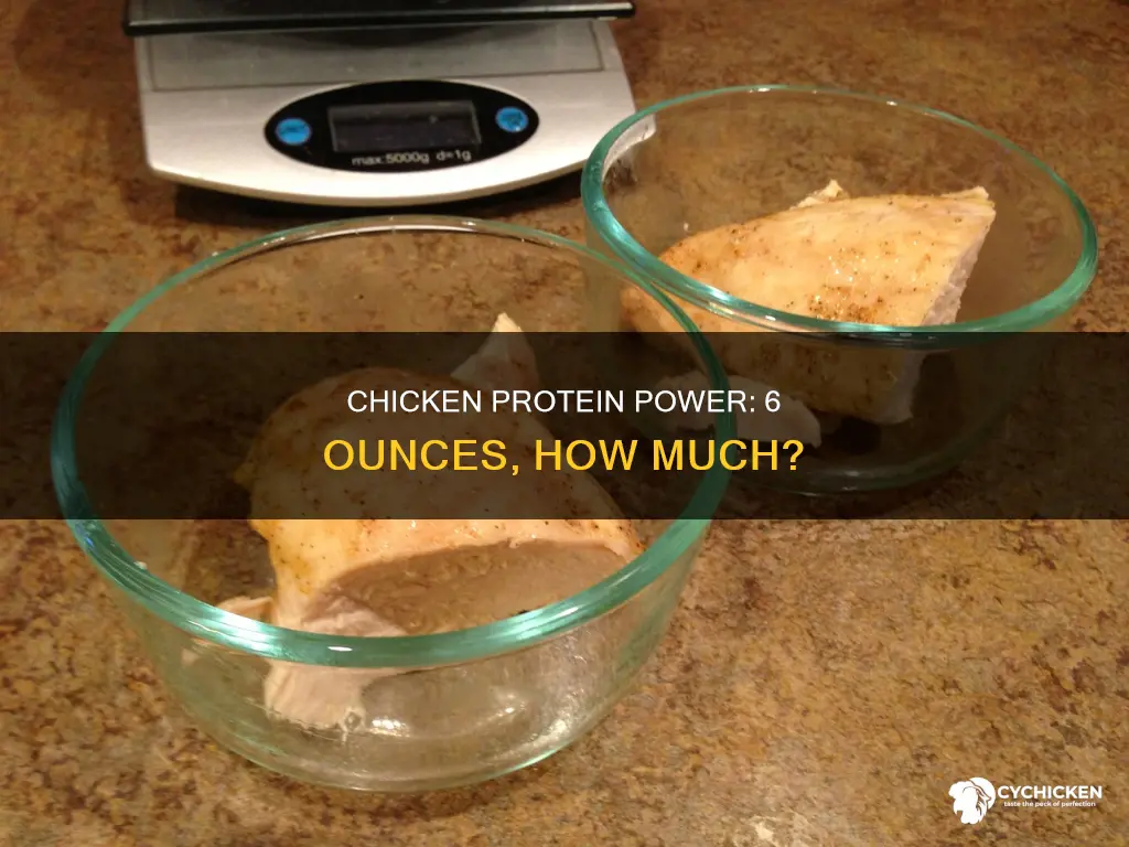 how many protein are there in 6 ounces of chicken