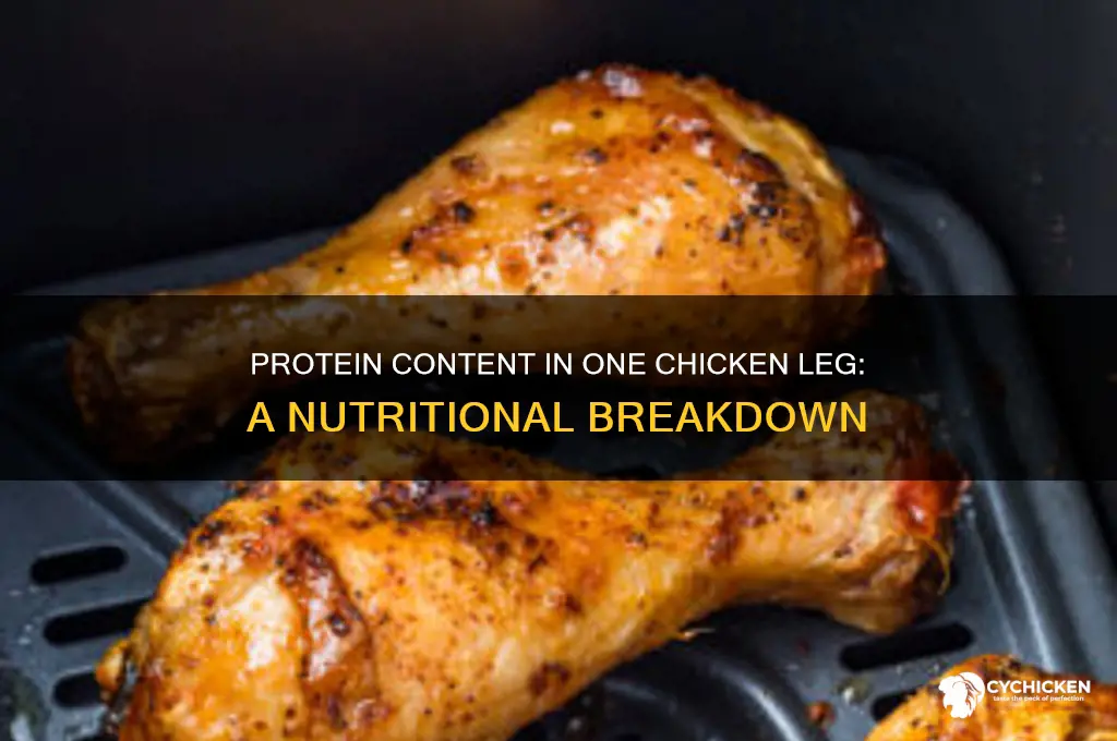 how many protein in 1 chicken leg
